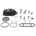 ZESTAW NAPRAWCZY KRANIKA ALL BALLS KAWASAKI EX 250