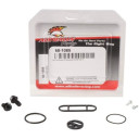 ZESTAW NAPRAWCZY KRANIKA ALL BALLS KAWASAKI KXF250