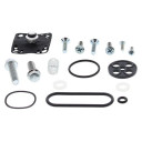 ZESTAW NAPRAWCZY KRANIKA ALL BALLS KAWASAKI ZL 600