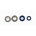 ATHENA BEARING AND SEAL KIT MINARELLI METAL CAGE -