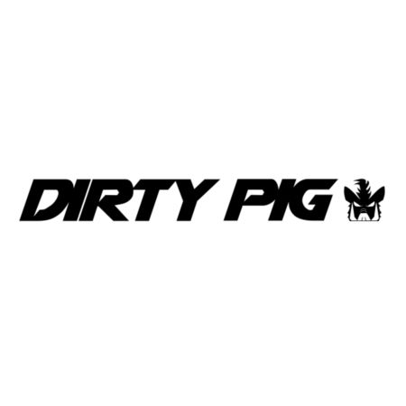 Łożyska wału korbowego DIRTY PIG yz250f 01-14