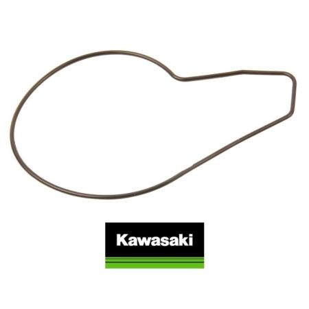 OEM KAWASAKI 920550083 o-ring obudowy pompy wody