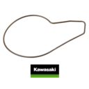 OEM KAWASAKI 920550083 o-ring obudowy pompy wody