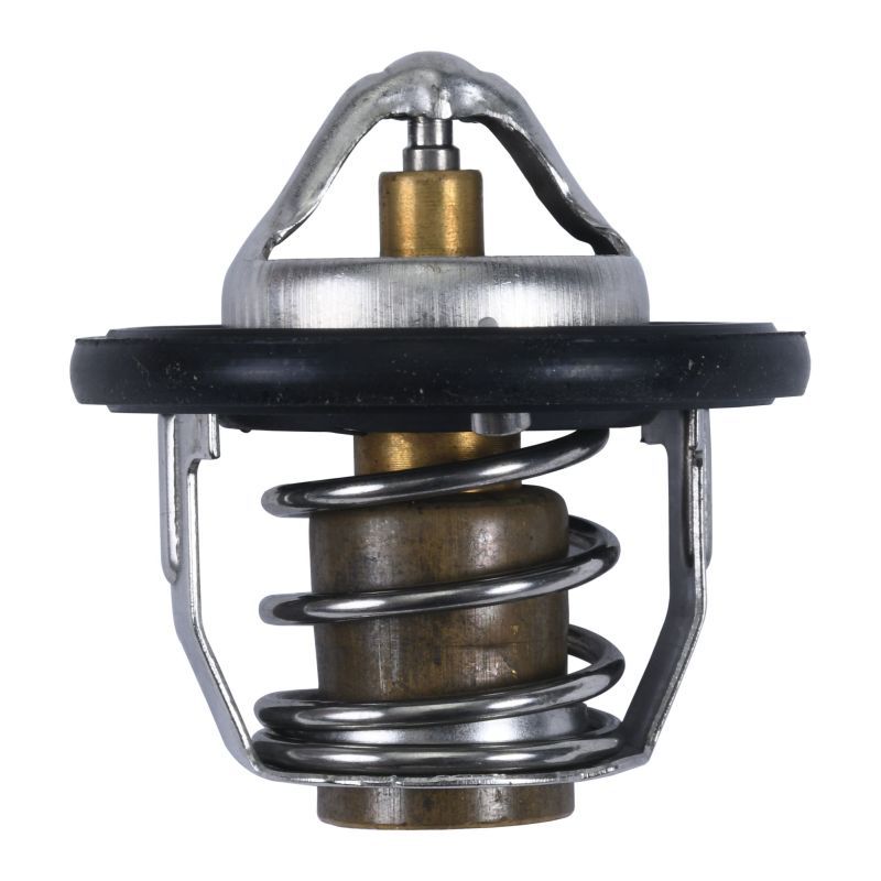Termostat chłodnicy ALLBALLS POLARIS sportsman 55