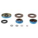 Uszczelniacze dyferencjału tylnego ALLBALLS polar