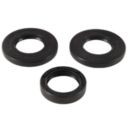 ALLBALLS uszczelniacze skrzyni biegów (transaxle)
