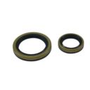 ALLBALLS uszczelniacze wału korbowego BETA evo 4T