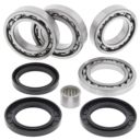 Zestaw naprawczy dyferencjału tylnego ALLBALLS wi