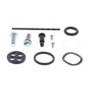 Zestaw naprawczy kranika ALLBALLS HONDA trx420 fa