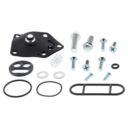 Zestaw naprawczy kranika ALLBALLS KAWASAKI ex 250
