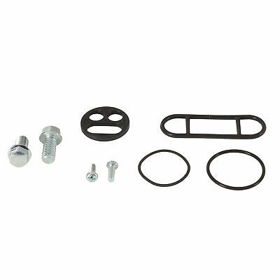 Zestaw naprawczy kranika ALLBALLS KAWASAKI kx100