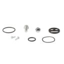 Zestaw naprawczy kranika ALLBALLS KAWASAKI kx125