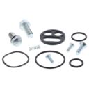 Zestaw naprawczy kranika ALLBALLS KAWASAKI zzr110