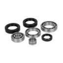 Zestaw naprawczy skrzyni biegów ALLBALLS (transax