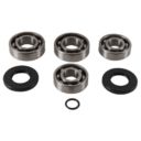 Zestaw naprawczy skrzyni biegów ALLBALLS POLARIS