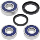 Łożyska koła tylnego z uszczelniaczami ALLBALLS y