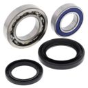 Łożyska koła tylnego z uszczelniaczami ALLBALLS y