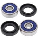Łożyska koła tylnego z uszczelniaczami ALLBALLS y