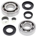 Zestaw naprawczy dyferencjału przedniego ALLBALLS