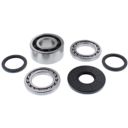 Zestaw naprawczy dyferencjału przedniego ALLBALLS