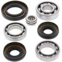 Zestaw naprawczy dyferencjału przedniego ALLBALLS