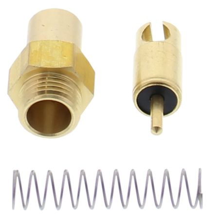 Zestaw naprawczy zaworu ALLBALLS ssania POLARIS a