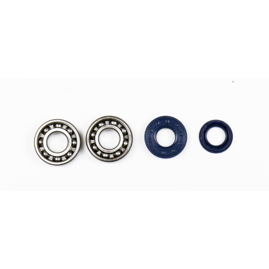 ATHENA bearing and seal kit MINARELLI metal cage -