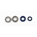 ATHENA bearing and seal kit MINARELLI metal cage -