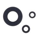 ATHENA serie par.kaw.1000 zx-10r 04-08engine oil s