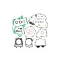 Komplet uszczelek ATHENA SUZUKI rmz 250 '16-'18 (z