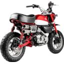 Tłumik AKRAPOVIC ss monkey