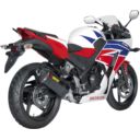 Tłumik AKRAPOVIC carbon cbr300r
