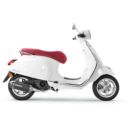 Tłumik AKRAPOVIC ss/carbon blk VESPA
