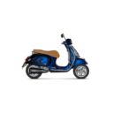 Tłumik AKRAPOVIC ss blk gts300