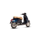 Tłumik AKRAPOVIC ss gts300