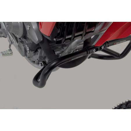 Crashbar / gmole SW MOTECH