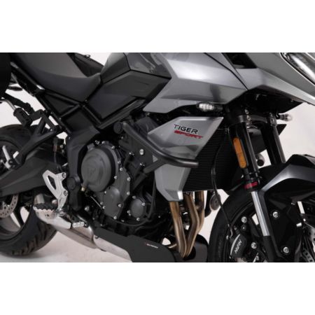 Crashbar / gmole SW MOTECH