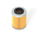 Filtr oleju ATHENA rsv 1000/ BOmbardier/ can-am (h