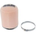 AIR FILTER TWIN AIR CA-AM