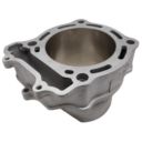 OEM SUZUKI 0212211 cylinder ltr450 06-09 langcourt