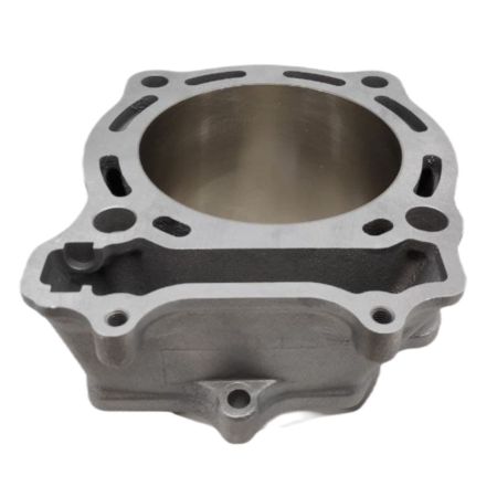 OEM SUZUKI 0212211 cylinder ltr450 06-09 langcourt