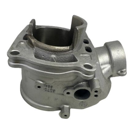 Cylinder SHERCO se 300 2020 nicasil