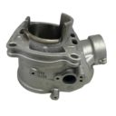 Cylinder SHERCO se 300 2020 nicasil