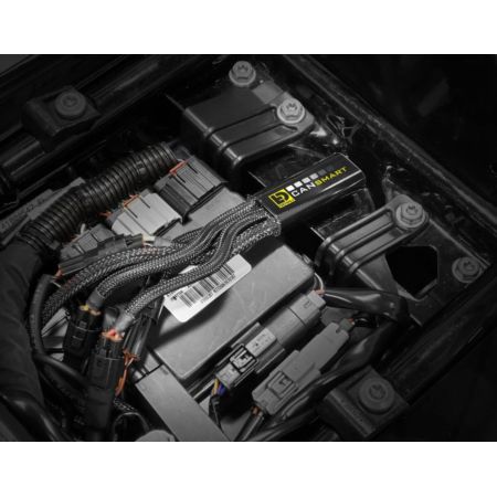 Kontroler DENALI CANSMART GEN II HARLEY FXDB/FXDF