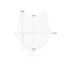 Szyba motocyklowa WRS STANDARD BMW R1250R clear