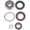 Zestaw naprawczy pompy WSM KAWASAKI JH 1100