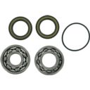 Zestaw naprawczy pompy WSM YAMAHA FX 1000