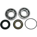 Zestaw naprawczy pompy WSM YAMAHA RA 700