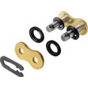 Zapinka łańcucha REGINA QUAD 520