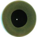 Filtr powietrza naoliwiony TWIN AIR KAWASAKI KX65